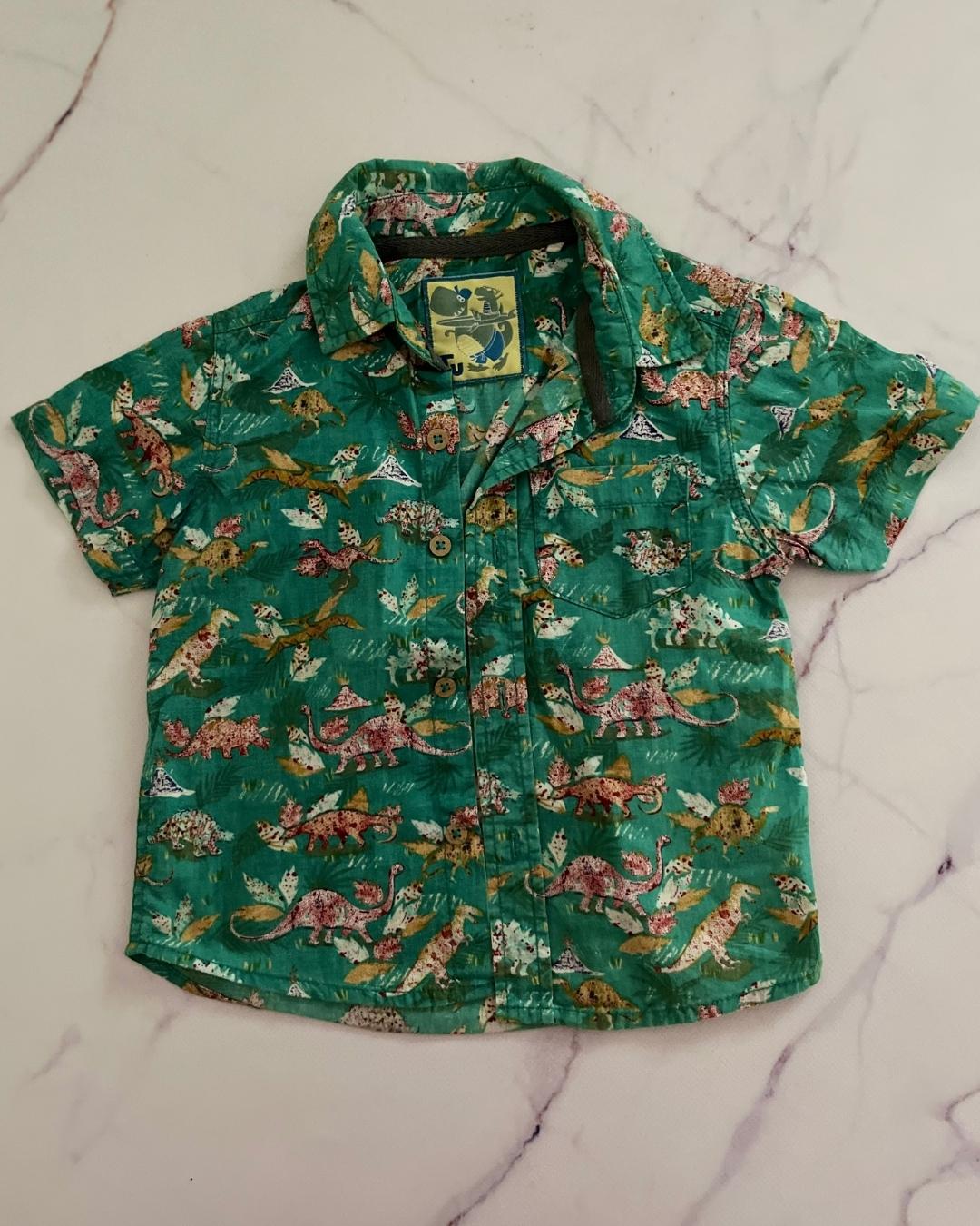 Tu green dinosaur collared shirt 9/12M