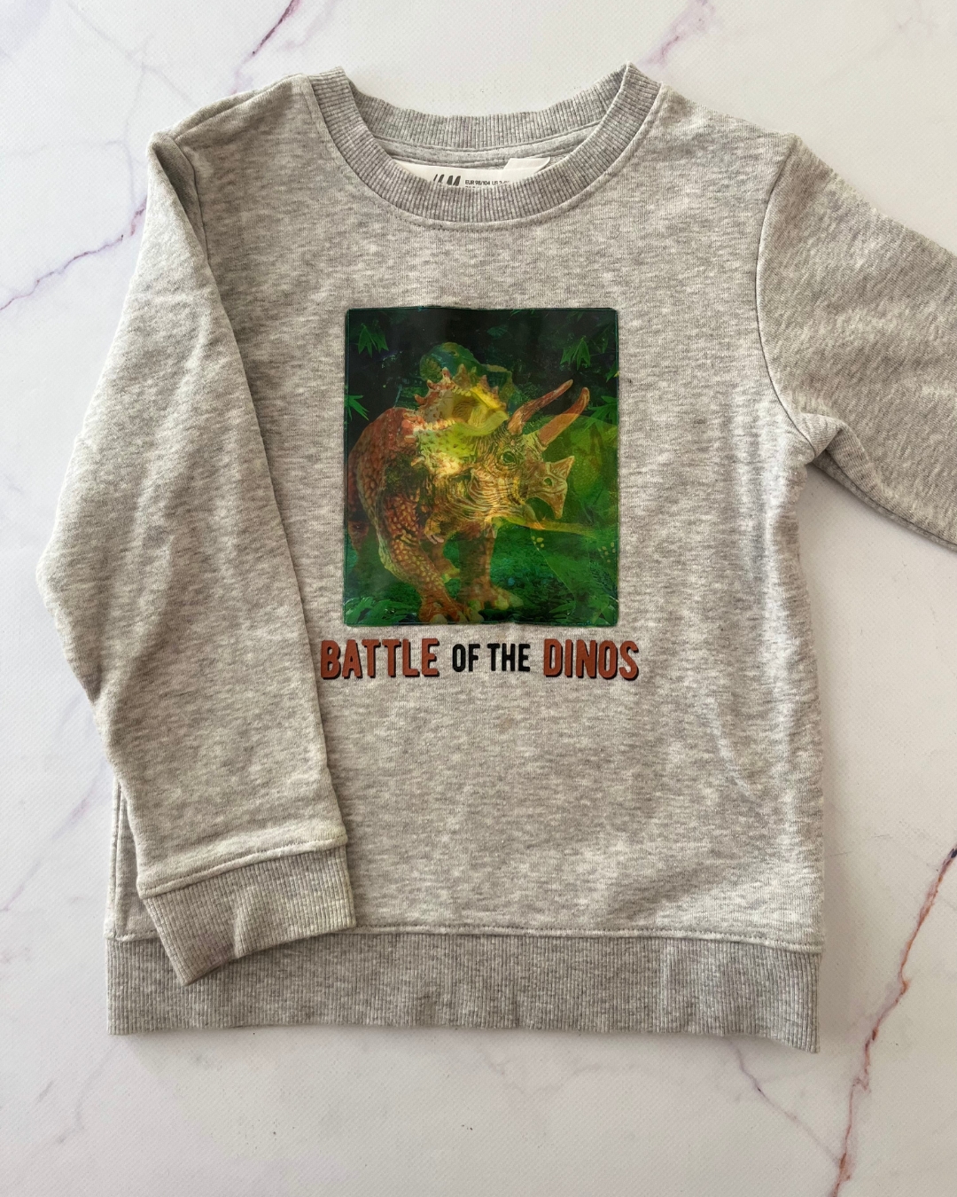 H&M grey Triceratops sweater 3/4Y