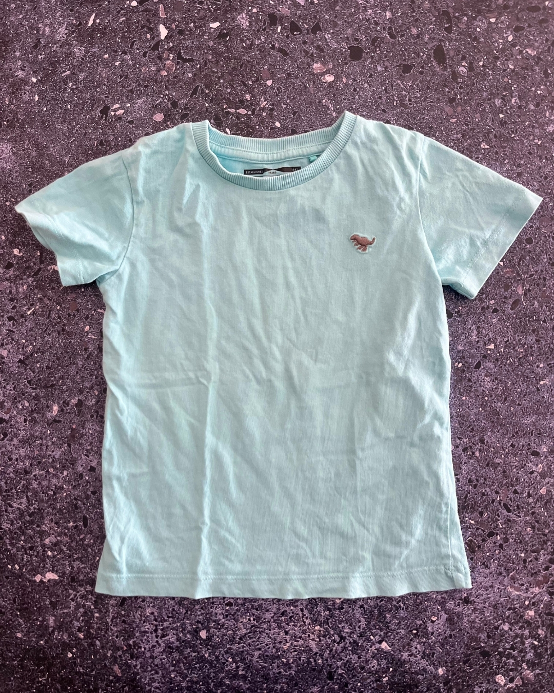 Next blue dinosaur T shirt 2/3Y