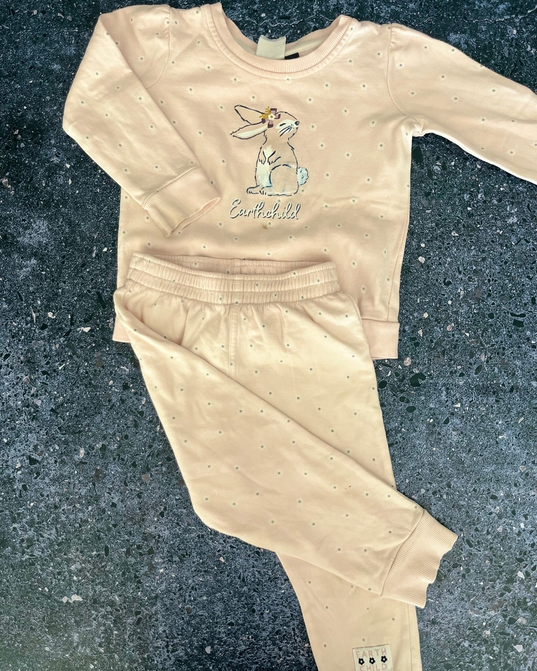 Earth Child light pink floral bunny tracksuit set 18/24M