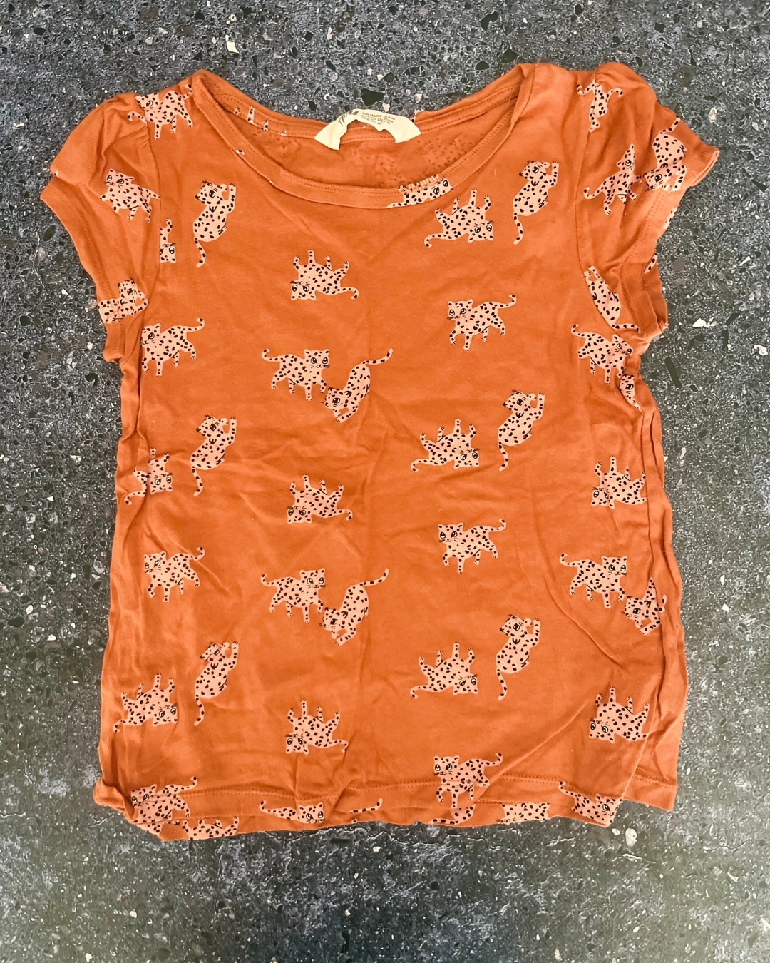 H&M brown kitty T-shirt 8/10Y