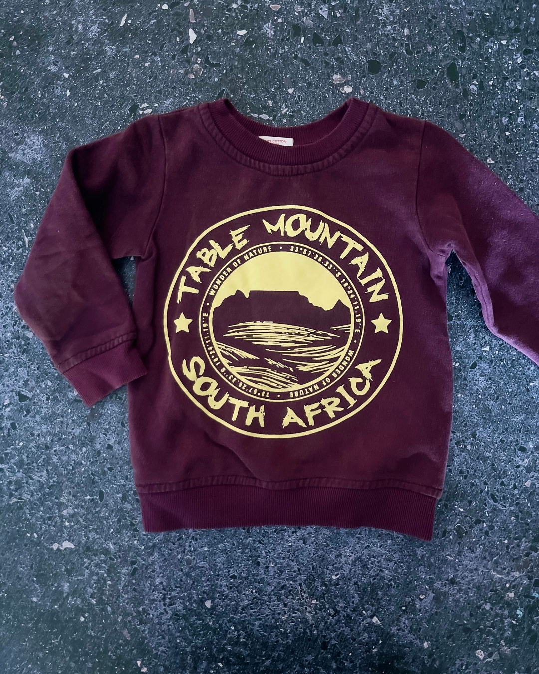 Nasty Monster purple Table Mountain sweater 3/4Y