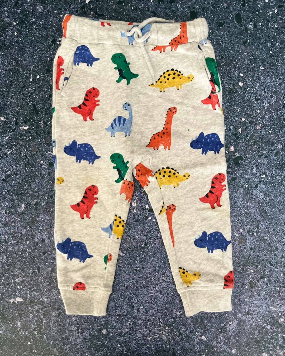 H&M grey dinosaur pants 9/12M