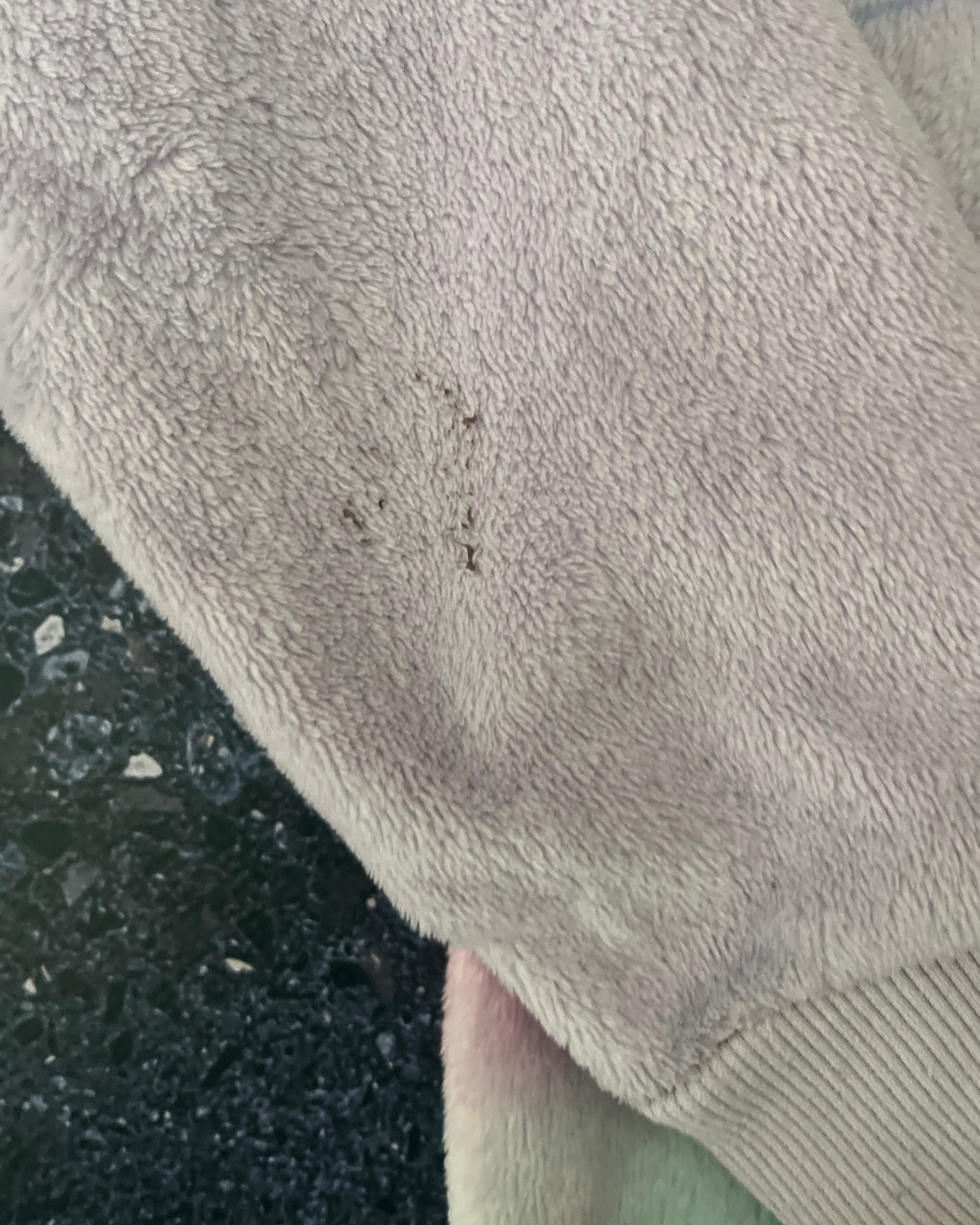 H&M purple fleece Frozen sweater 2/4Y - Image 2