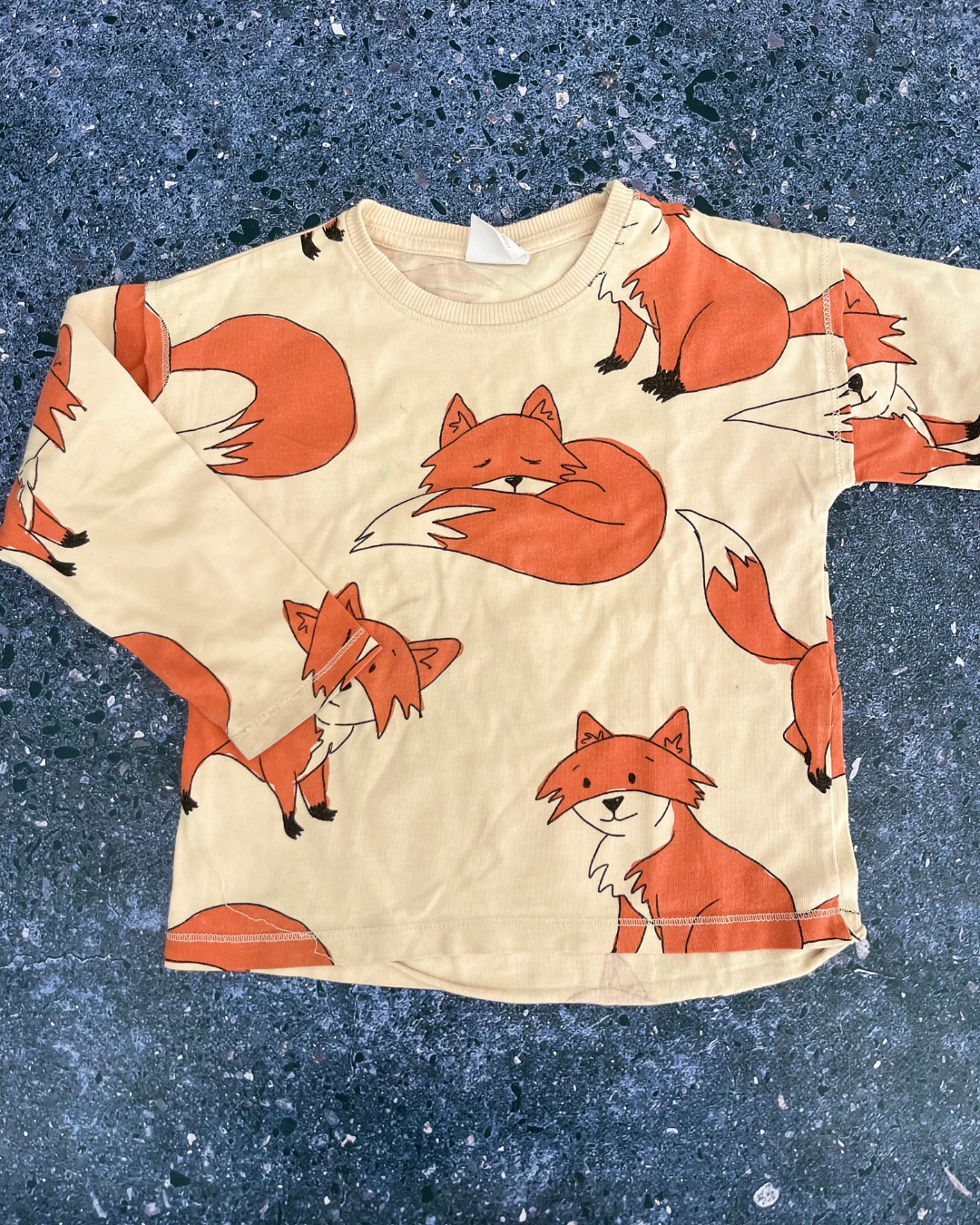 Zara beige fox long sleeve top 2/3Y